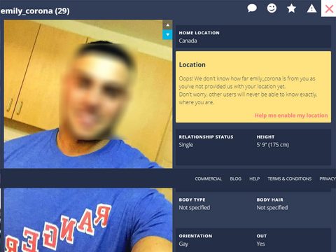 Perfil de Gaydar