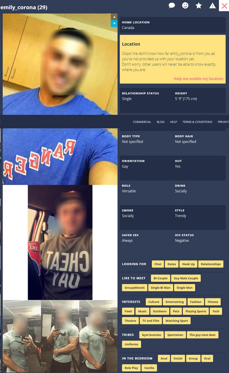 Perfil de Gaydar