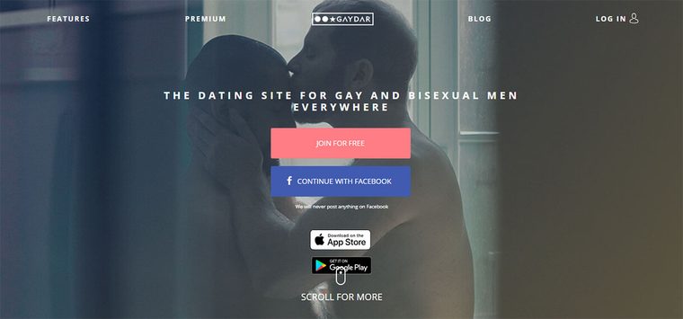 Logo de Gaydar