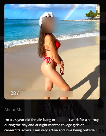 perfil