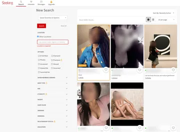 Captura de pantalla del sitio web de Seeking