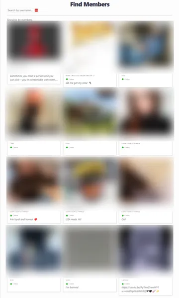Captura de pantalla del sitio web de StrangerMeetup