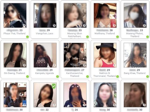 Miembros de Thai Cupid