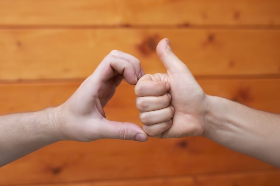 friendzone dos manos haciendo señas de amor